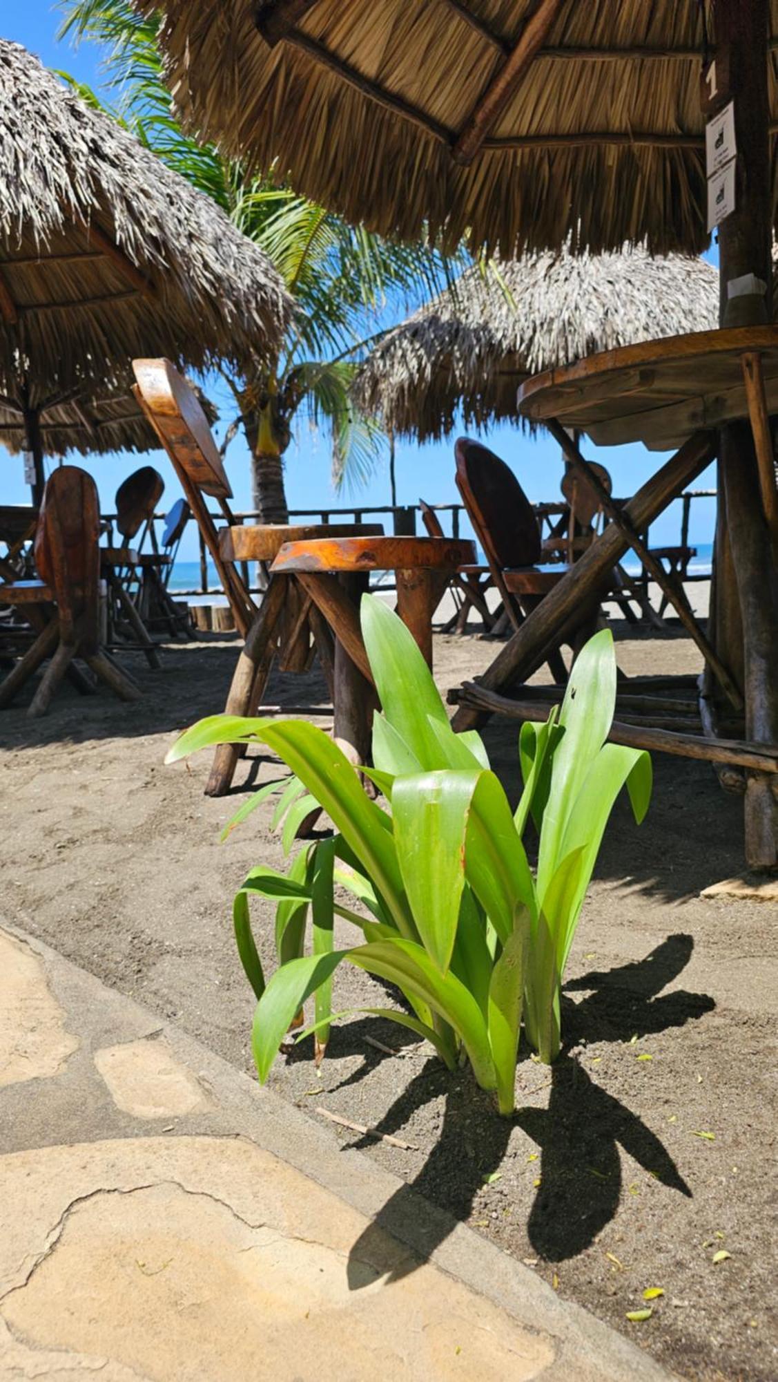 Mano A Mano Eco Hostal Las Penitas Exterior photo